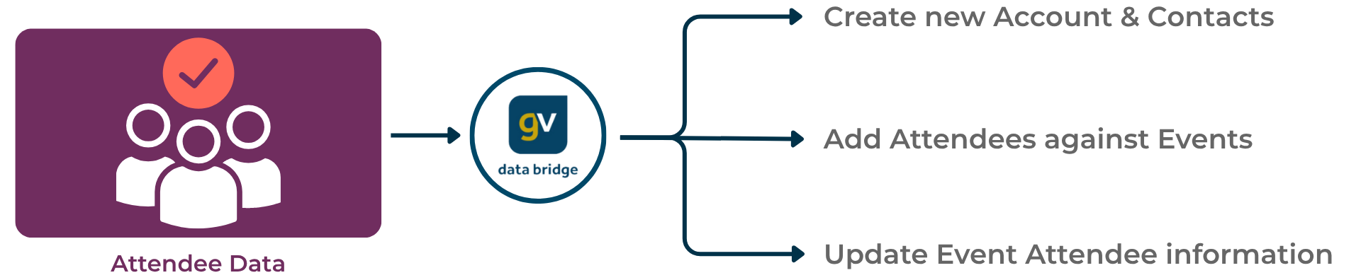 Diagram showing how Gold-Vision Data Bridge imports attendee data to create new accounts and contacts, add attendees to events, and update event attendee information